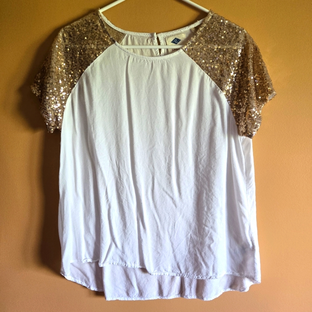 Wild Blue Sequin Sleeve Top, L